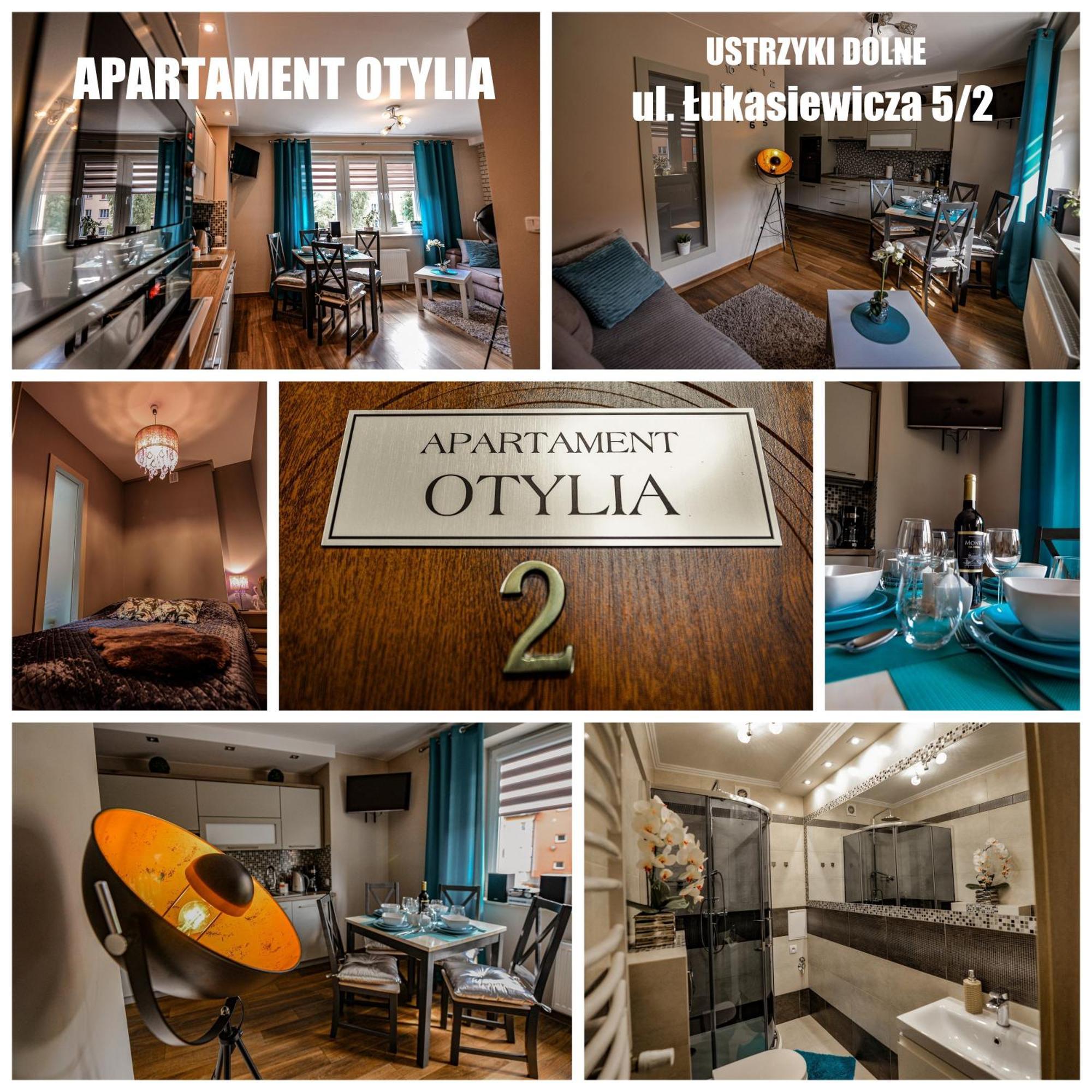 Apartament Otylia 下乌斯奇基 外观 照片